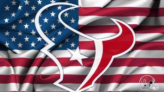 Houston texans logo wallpaper