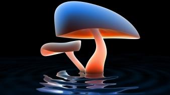 Mushroom 3d wallpaper