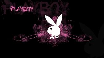 Playboy logo background wallpaper