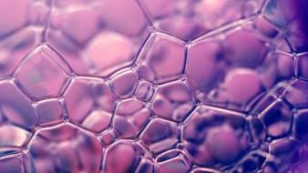 Purple glass background wallpaper