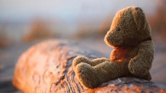 Teddy bear alone wallpaper