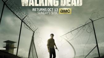 The walking dead 2013 wallpaper
