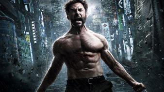The wolverine movie 2013 wallpaper