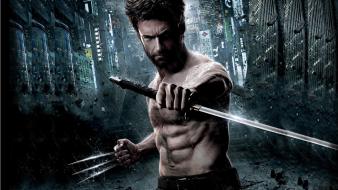 The wolverine wallpaper