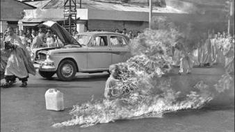 Thich quang duc vietnam war vietnamese fire historic wallpaper