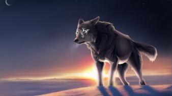 Animals artistic artwork dawn digital art wallpaper