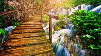 Beautiful nature desktop wallpaper