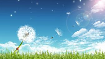 Beautiful summer scenery wallpaper