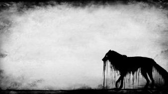 Dark dying simple background wolves wallpaper
