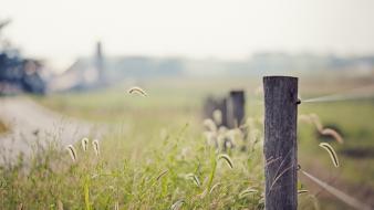 Depth of field fences grass nature wallpaper