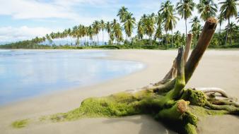 Exotic beach 1 wallpaper