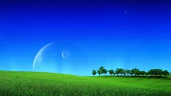 Green nature blue sky wallpaper