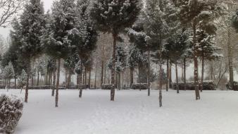 Iran artwork nature snow winter