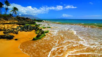 Maui beach hawaii wallpaper
