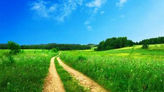 Nature hd pictures wallpaper