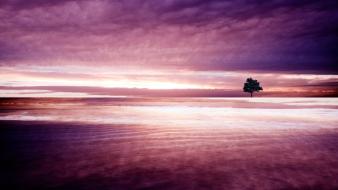 Purple nature landscape wallpaper