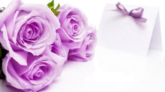 Purple rose love wallpaper