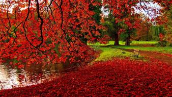 Romantic autumn wallpaper