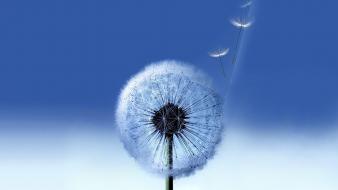 Samsung galaxy s3 wallpaper