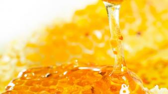 Sweet honey wallpaper