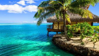 Tropical coast wallpaper
