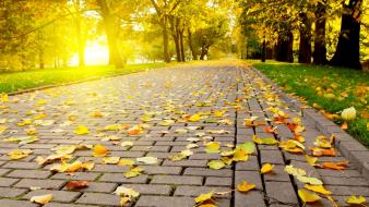 Autumn nature backgrounds wallpaper