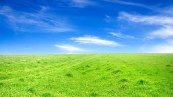 Blue grass green landscapes nature wallpaper