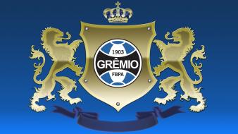 Brazil soccer football logos gremio grêmio teams wallpaper
