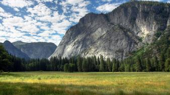 California usa yosemite national park fields forests wallpaper