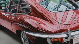 Carcharodon carcharis jaguar e-type wallpaper