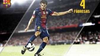 Cesc fabregas fc barcelona football teams sports wallpaper