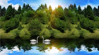 Cool nature background wallpaper