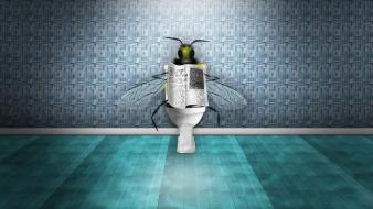 Creative digital art fantasy flies newspaper wallpaper