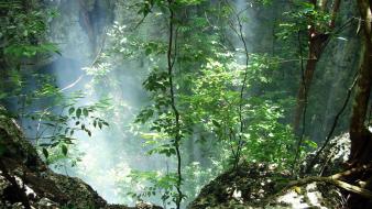 Cuba forests green hills holes wallpaper