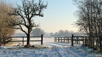Fences landscapes natural scenery nature snow wallpaper