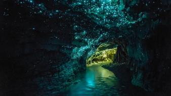 New zealand cave destination glow tour wallpaper