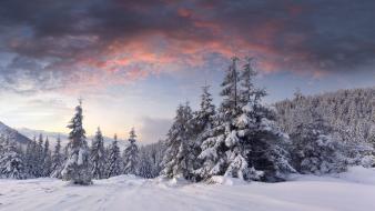 Snow winter wallpaper