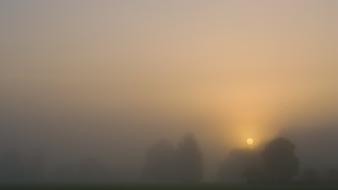 Sun nature wallpaper