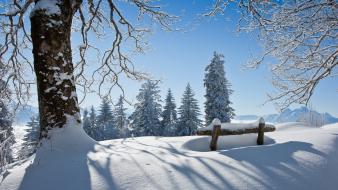 The sun landscapes large breasts natural scenery nature wallpaper