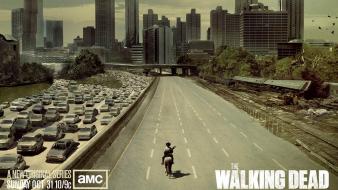 The walking dead wallpaper
