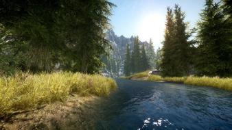 V: skyrim grass nature trees video games wallpaper