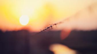 Wire blurred background depth of field evening wallpaper