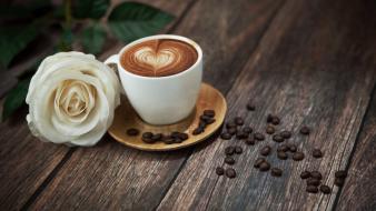 Beans coffee drinking white roses wood wallpaper
