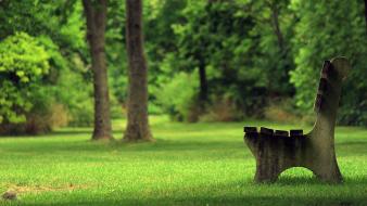 Bench grass green outdoors park wallpaper