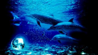 Blue moon fantastic digital art dolphins wallpaper