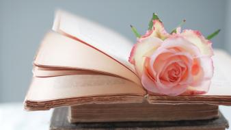 Books roses wallpaper