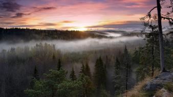 Clouds fog landscapes nature trees wallpaper