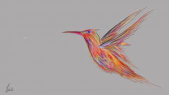 Colibris bird wallpaper