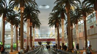 Dubai airports interior palm trees wallpaper