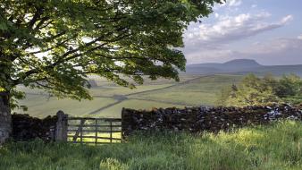 Fields hills moss nature stone wall wallpaper